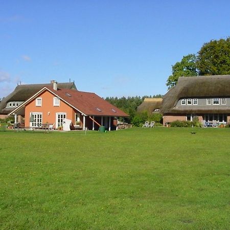 Ferienwohnung Nr 07 Og Spitzboden Born Esterno foto